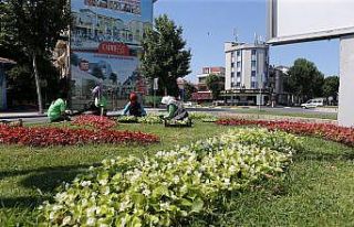 Şehrin caddeleri çiçek bahçesi gibi olacak