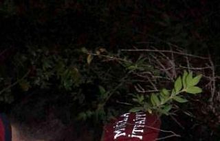 Seydikemer’de çukurda mahsur kalan inek kurtarıldı