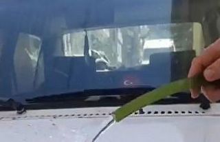 Sıcaktan bunalan güvercin hortumdan akan suyla serinledi