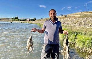 Sıcaktan bunalan vatandaşlar soluğu Murat Nehri’nde...