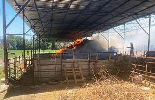 Sigara izmariti 5 ton buğday ve 2 bin balya samanı...