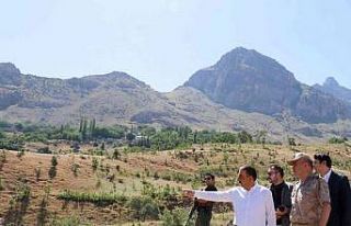 Siirt Valisi Hacıbektaşoğlu, Pervari-Doğan yolunda...