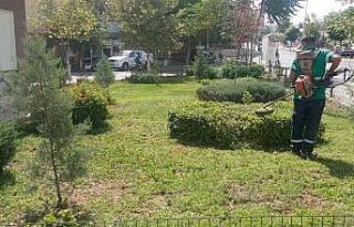 Siirt’te park ve bahçelerde temizlik ve bakım...