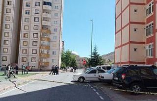 Şikar teyzenin feci sonu