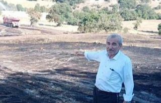 Simav’da 40 dekar alanda tarla yangını