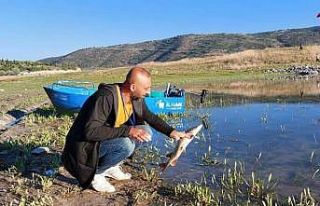 SİNABDER Turna Balığı Yakalama Yarışması renkli...