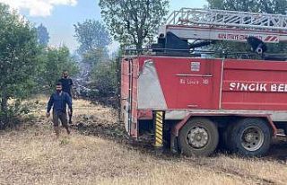 Sincik’te ormanlık alandı yangın