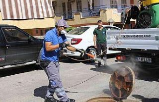 Sinek ve haşereyle mücadele sürüyor