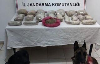 Sınırdan geçirilen 2 milyon lira değerindeki 11...