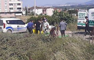 Sokak ortasında başından vurulmuş erkek cesedi...