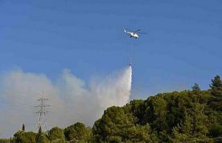 Söke’de orman yangını