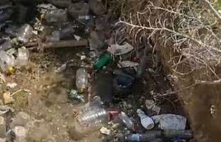 Su kuyusuna düşen 2 köpek itfaiye ekiplerince kurtarıldı