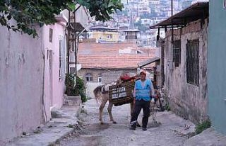 Tarihi ilçede çöpler atlarla toplanıyor