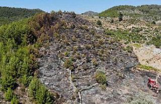 Tarladan makilik alana sıçrayan yangın ormana ulaşmadan...