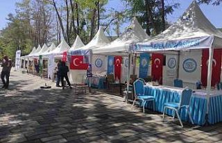 Tatvan’da 9 üniversite tanıtım standı kurdu