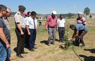 Tavşanlı’da şehitleri anma töreni