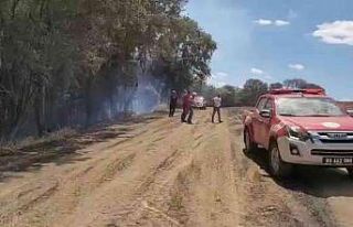 Tekirdağ’da orman yangını kontrol altına alındı