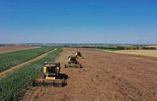 Tekirdağ’da yerli ve milli tohumlardan 60 ton ürün...