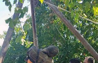 Temizlik sırasında kuyuya düşen vatandaş hayatını...