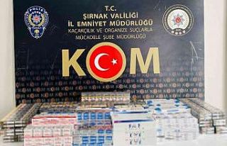 Terörün finans kaynaklarına operasyon: 20 gözaltı