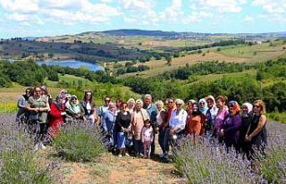 Tıbbi ve Aromatik Bitki Yetiştiriciliği Projesini...