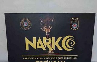 Tırda 3 kilogram metamfetamin uyuşturucu ele geçirildi