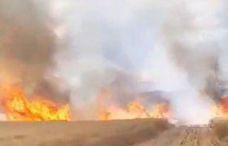 Tokat’ta, 30 dönüm buğday tarlası kül oldu