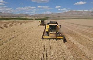 Tomarza’da 2022 yılı hububat hasadı başladı