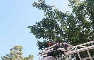 Tomarza’da ayağı sıkışan kargayı itfaiye kurtardı