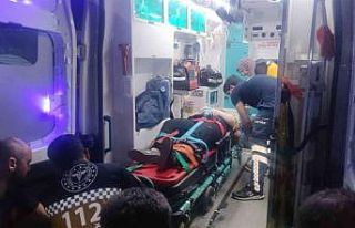 Tonlarca ağırlığındaki çam ağacı ailenin üzerine...