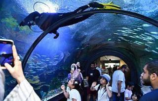 ‘Trabzon Akvaryum’ dolup taşıyor