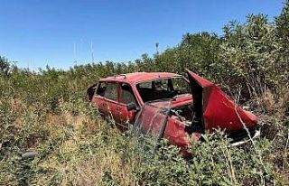 Trafik işareti levhasına çarpan otomobil şarampole...