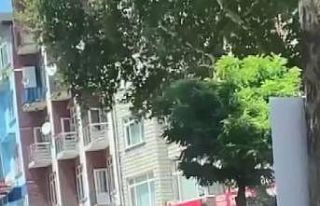 Trafikte tartışan grup yolun ortasında sopalarla...