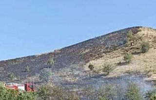 Tunceli’deki örtü yangını söndürüldü