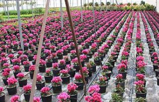 TÜRKTOB ve SÜSBİR’den KDV’de indirim talebi