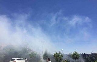 Tut ilçesinde bahçe yangını