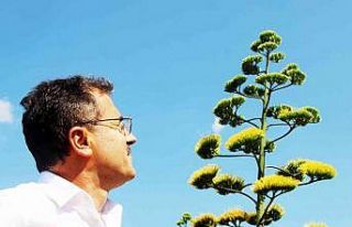 Unesco Dünya kültür mirası listesinde