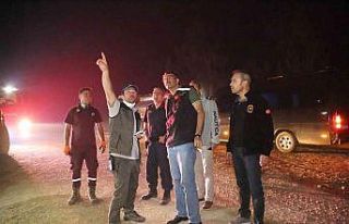 Vali Çelik: "Yangın bölgesine 28 helikopter,...