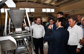 Vali Pehlivan, kuş üzümü temizleme ve paketleme...