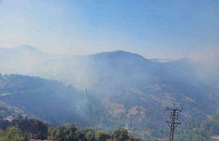 Vali Şıldak yangın bölgesinde