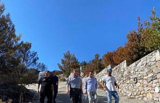 Vali Tavlı, Datça yangın bölgesinde incelemede...