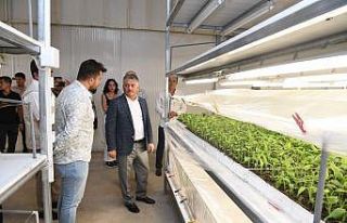 Vali Yazıcı: “Tarımda çeşitlilik sağlayarak...