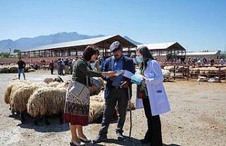 Van Büyükşehir Belediyesi hayvan pazarında bilgilendirme...