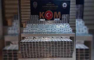 Van’da gümrük kaçakçılığı