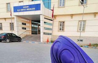 Van’da kaydırak hırsızları tutuklandı