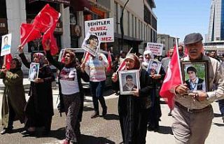 Vanlı annelerin evlat nöbeti sürüyor