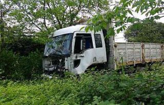 Virajı dönen kamyon duvara çarptı