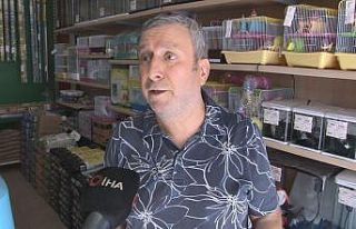 Vitrinde kedi ve köpek satış yasağı başladı