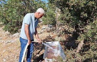 Yaban hayvanları için doğaya su bırakıldı