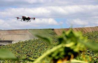 Yalova’da çayır tırtılı ile dronlu mücadele